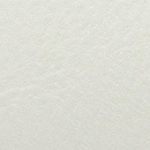 Cuir - Blanc