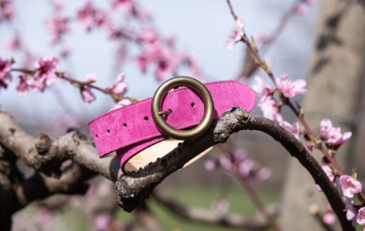Image blog - Octobre Rose : FAUNE s'engage contre le Cancer du Sein