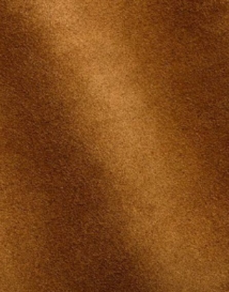 Image Cuir velours